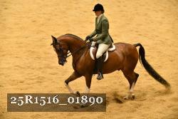 25R1516_01890 thumbnail
