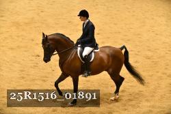 25R1516_01891 thumbnail