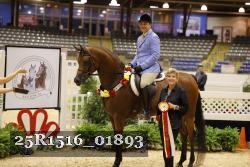 25R1516_01893 thumbnail