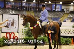 25R1516_01894 thumbnail