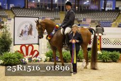 25R1516_01896 thumbnail