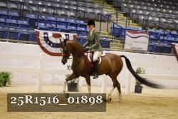 25R1516_01898 thumbnail
