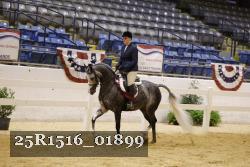 25R1516_01899 thumbnail