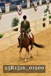 25R1516_01900 thumbnail