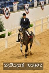 25R1516_01902 thumbnail