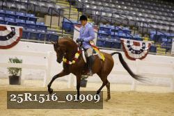 25R1516_01909 thumbnail