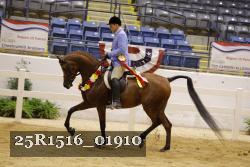 25R1516_01910 thumbnail