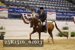 25R1516_01913 thumbnail