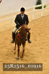 25R1516_01916 thumbnail