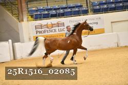 25R1516_02085 thumbnail