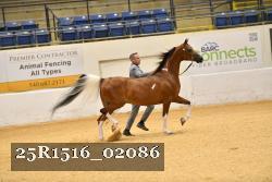 25R1516_02086 thumbnail