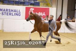 25R1516_02087 thumbnail