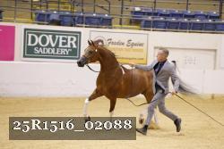 25R1516_02088 thumbnail