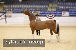 25R1516_02091 thumbnail