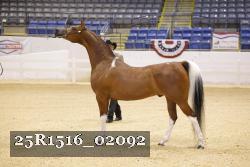 25R1516_02092 thumbnail