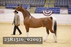 25R1516_02093 thumbnail