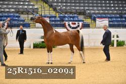 25R1516_02094 thumbnail