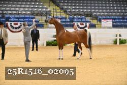 25R1516_02095 thumbnail