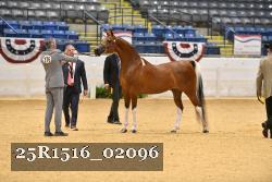 25R1516_02096 thumbnail