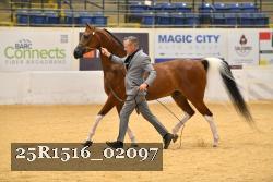 25R1516_02097 thumbnail