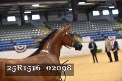 25R1516_02098 thumbnail