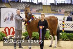 25R1516_02099 thumbnail