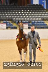 25R1516_02101 thumbnail