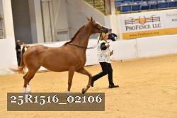 25R1516_02106 thumbnail