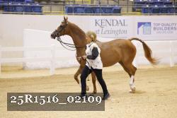 25R1516_02109 thumbnail
