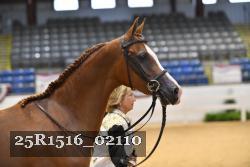 25R1516_02110 thumbnail
