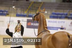 25R1516_02112 thumbnail