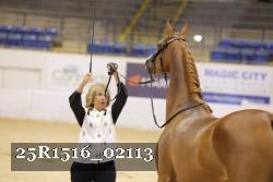 25R1516_02113 thumbnail