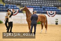 25R1516_02114 thumbnail