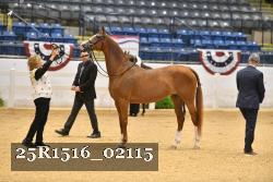 25R1516_02115 thumbnail