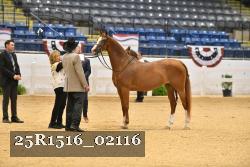 25R1516_02116 thumbnail