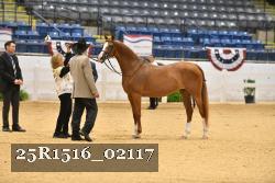 25R1516_02117 thumbnail