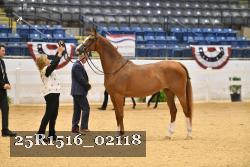 25R1516_02118 thumbnail