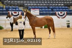 25R1516_02119 thumbnail