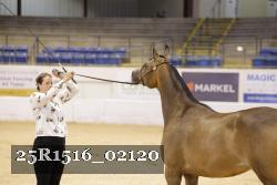 25R1516_02120 thumbnail