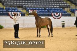 25R1516_02121 thumbnail