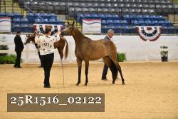 25R1516_02122 thumbnail
