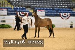 25R1516_02123 thumbnail
