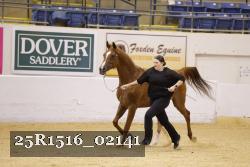 25R1516_02141 thumbnail