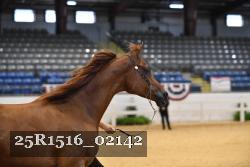 25R1516_02142 thumbnail