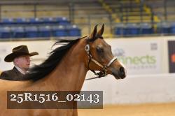 25R1516_02143 thumbnail