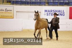 25R1516_02144 thumbnail