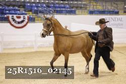 25R1516_02145 thumbnail