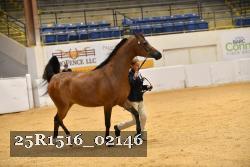 25R1516_02146 thumbnail