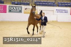 25R1516_02147 thumbnail