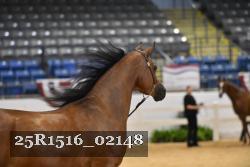 25R1516_02148 thumbnail